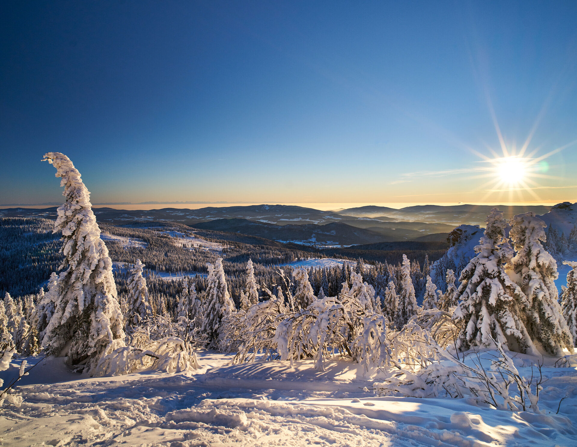 Weihnachtszauber Pauschalen Hotel Das Bayerwald Lam Wellnessurlaub